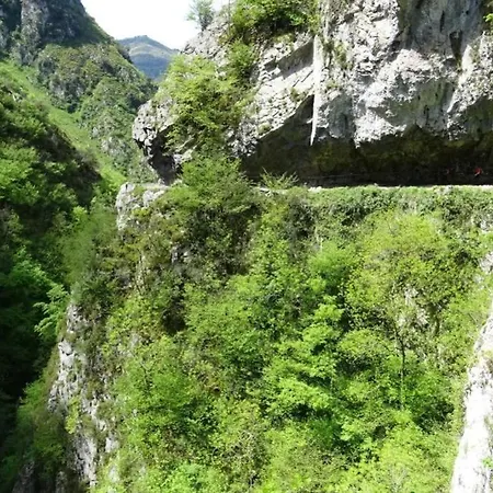 Casa Ferreira, Senda Del Oso